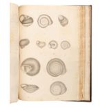 [MANUSCRIPTS—CONCHOLOGY]. TERVER, Ange Paulin (1798-1875).