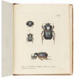 PANZER, Georg Wolfgang Franz. Symbolae Entomologicae. Erlangen: Johann Jacob Palm, 1802. Comprises t