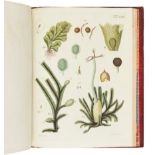 HEDWIG, Johann. Theoria Generationis et Fructificationis Plantarum Cryptogamicarum. St. Petersburg: