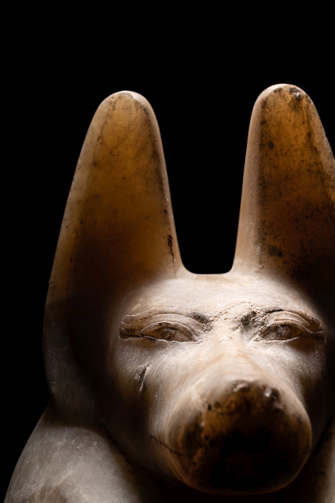 An Egyptian Alabaster Head of a Jackal Height 6 inches (15.2 cm). - Image 6 of 9