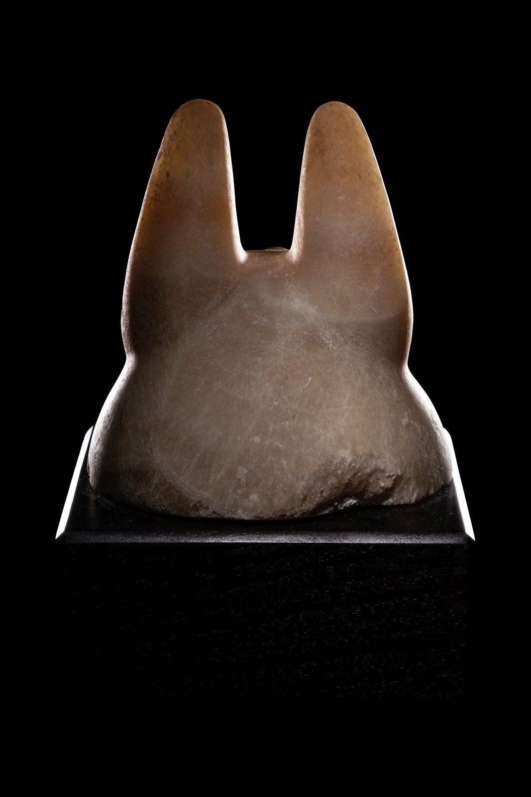 An Egyptian Alabaster Head of a Jackal Height 6 inches (15.2 cm). - Image 9 of 9