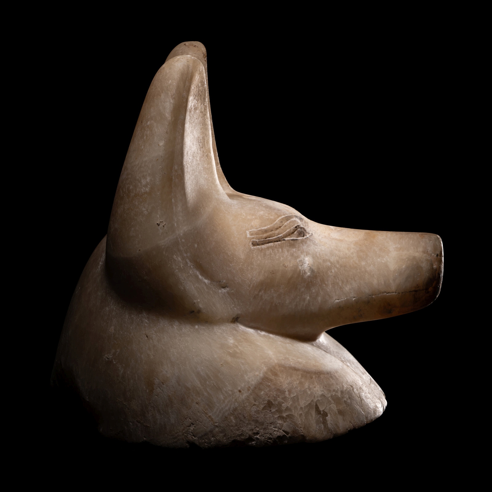 An Egyptian Alabaster Head of a Jackal Height 6 inches (15.2 cm). - Image 5 of 9