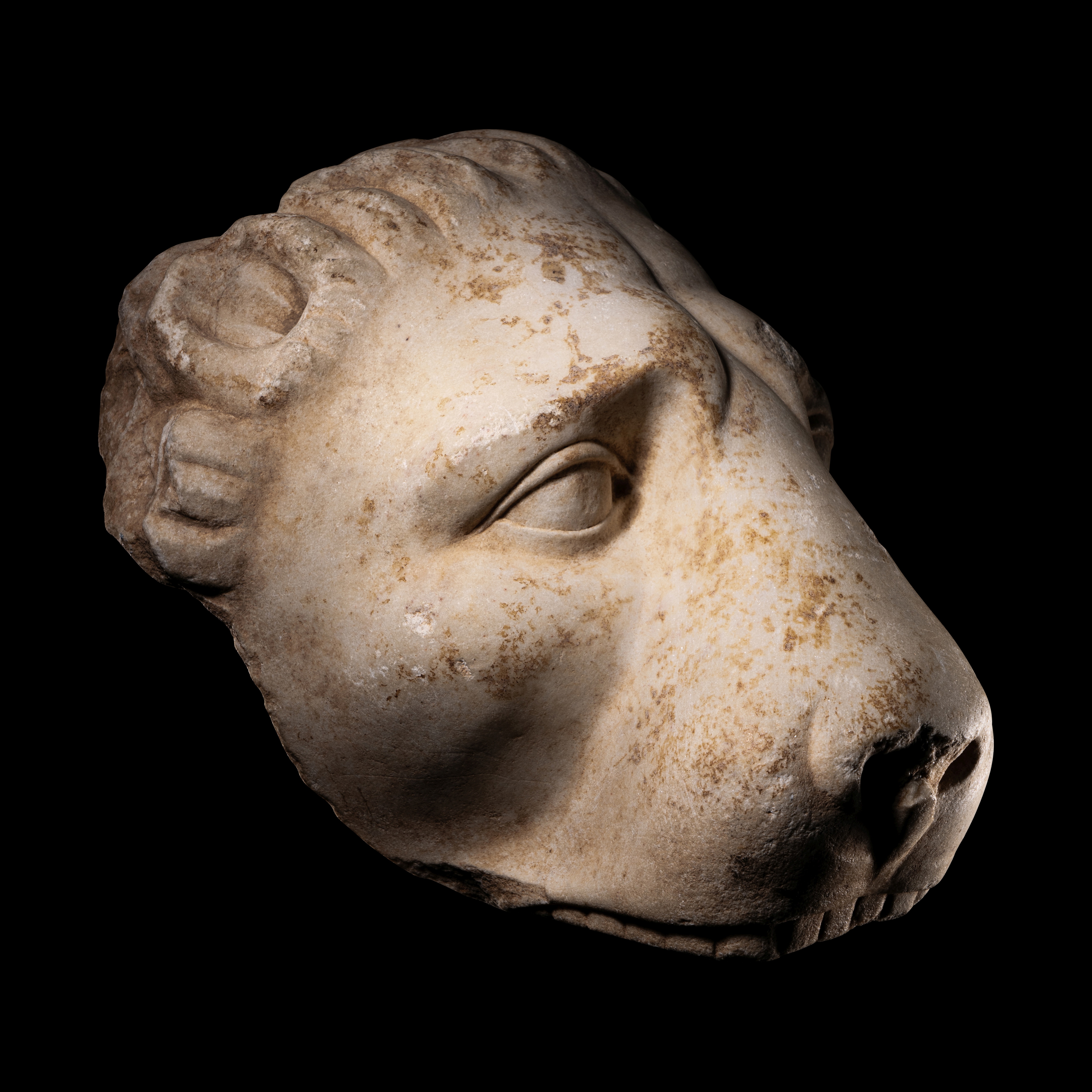 A Greek Marble Head of a Lion Height 9 inches (22.9 cm). - Image 5 of 9