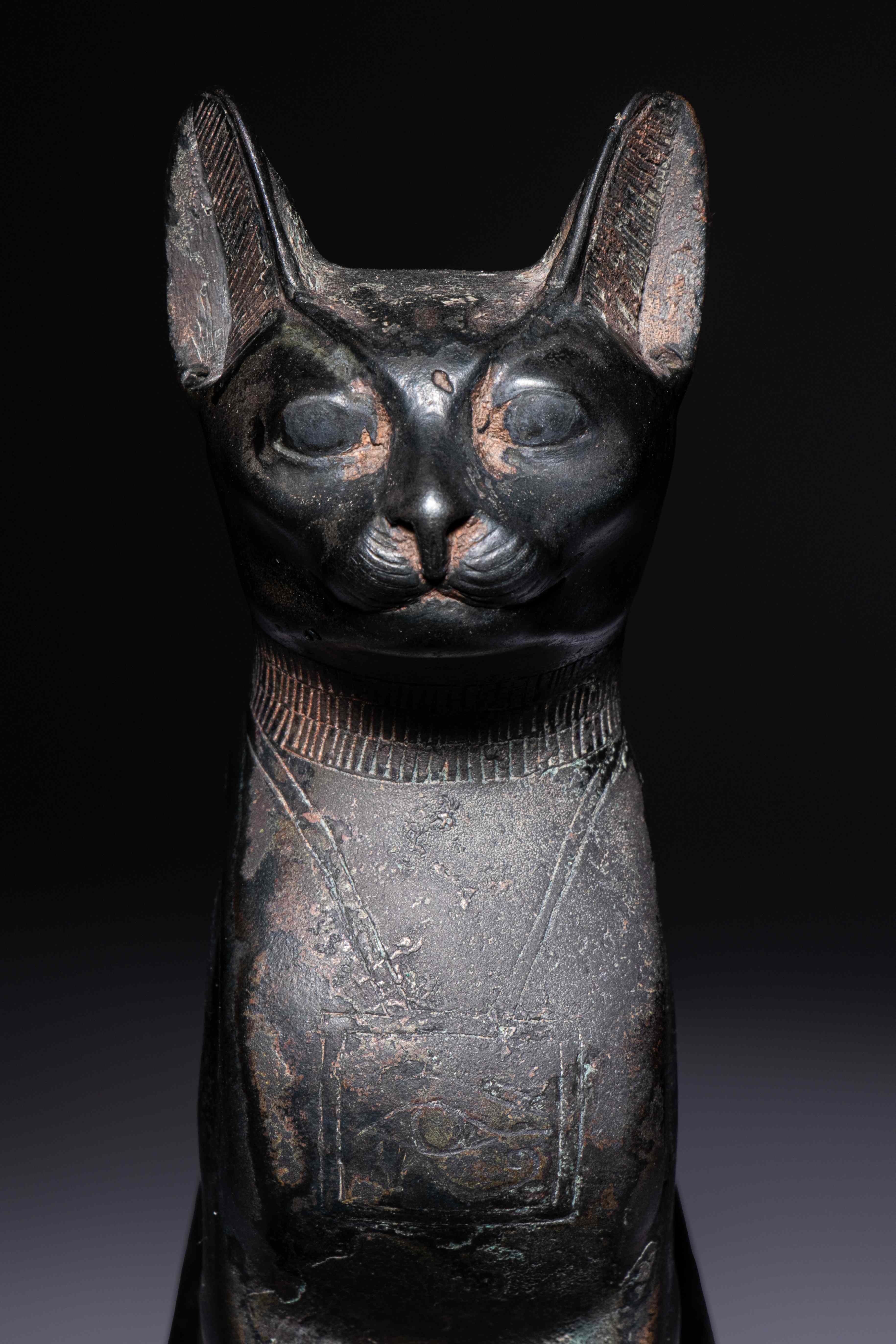 An Egyptian Bronze Cat Height 7 1/2 inches (19 cm). - Image 5 of 10