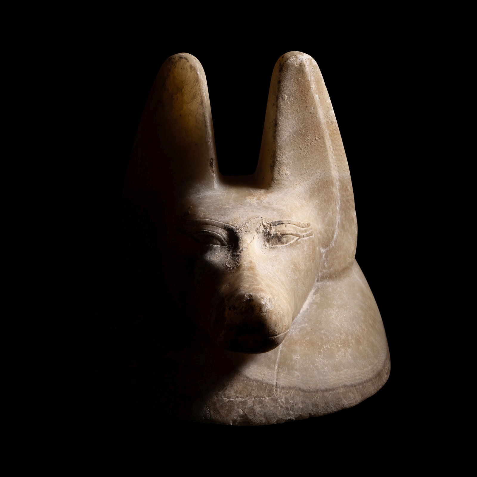 An Egyptian Alabaster Head of a Jackal Height 6 inches (15.2 cm). - Image 4 of 9