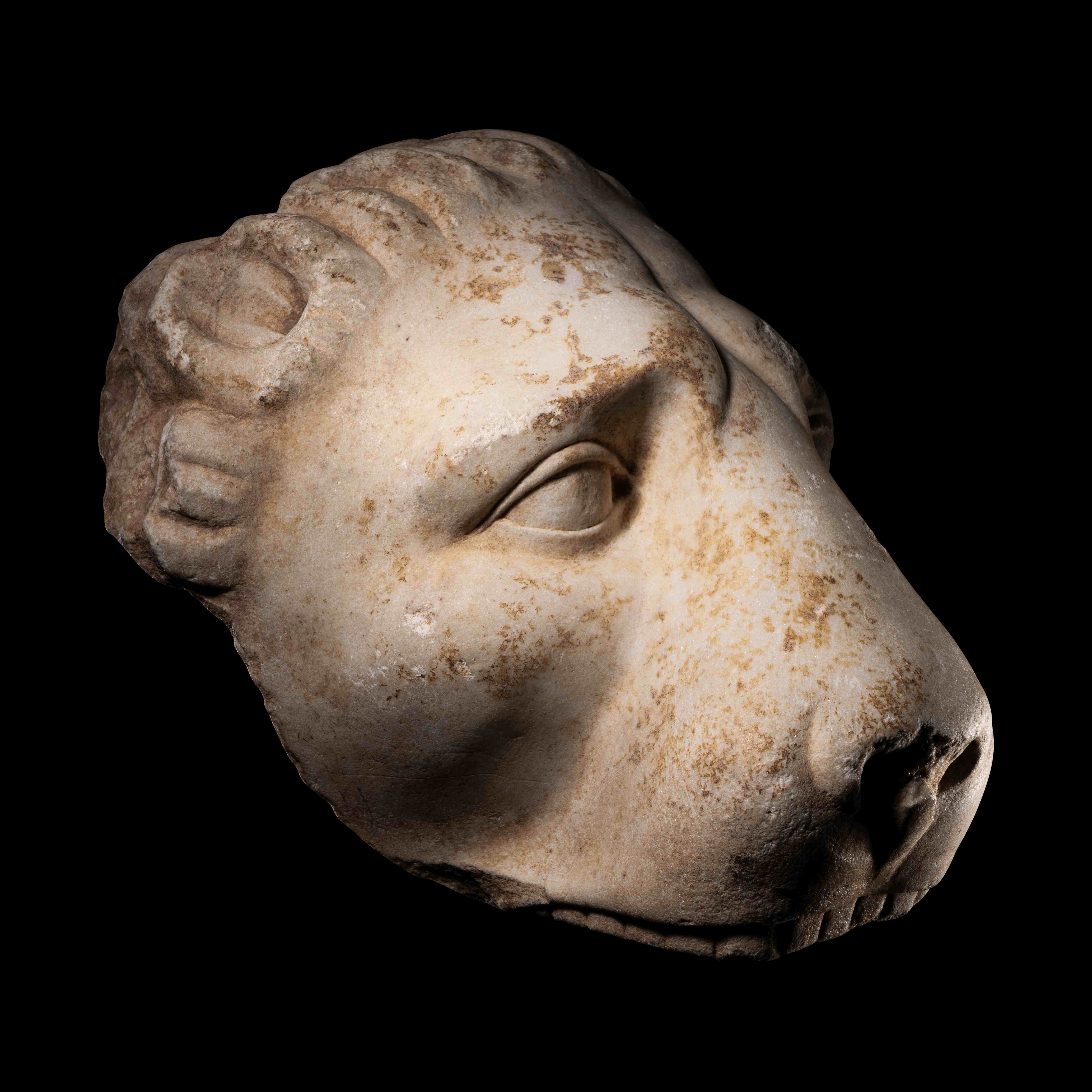 A Greek Marble Head of a Lion Height 9 inches (22.9 cm). - Image 4 of 9