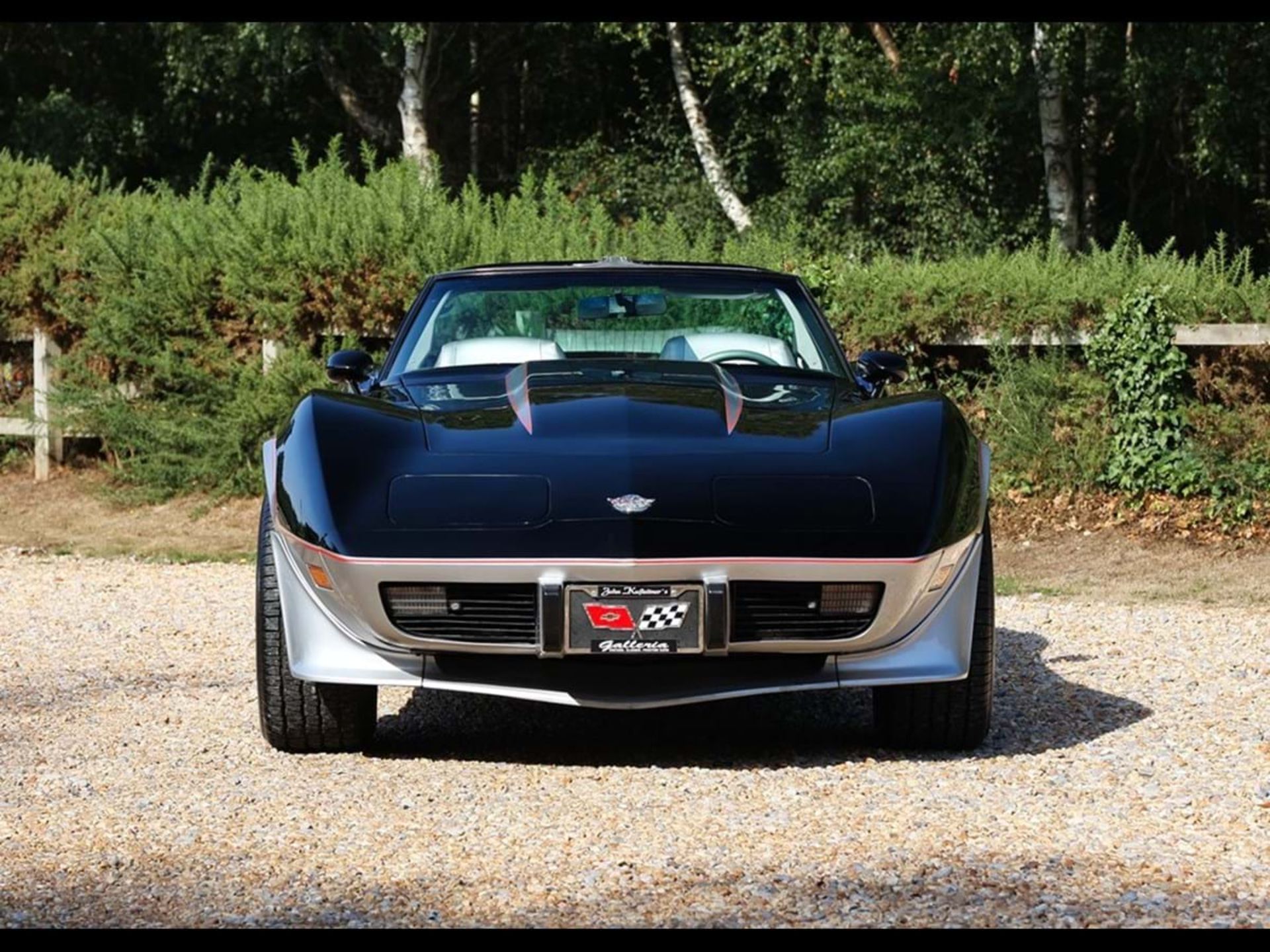 1978 Chevrolet Corvette Anniversary Pace Car - Image 14 of 14