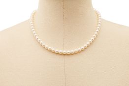 A SINGLE STRAND CULTURED AKOYA PEARL NECKLACE