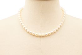 A SINGLE STRAND CULTURED AKOYA PEARL NECKLACE