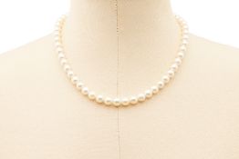 A SINGLE STRAND CULTURED AKOYA PEARL NECKLACE