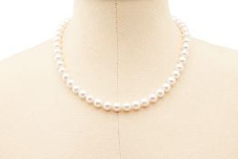 A SINGLE STRAND CULTURED AKOYA PEARL NECKLACE