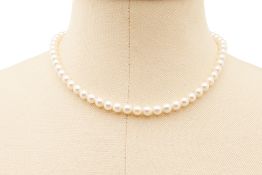 A SINGLE STRAND CULTURED AKOYA PEARL NECKLACE