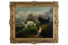 GEORGE ARMFIELD (BRITISH, 1808-1893) - THE RABBIT HOLE