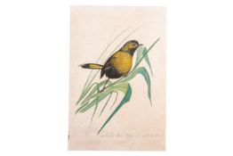 WALTER SPIES (GERMAN, 1895-1942) - STUDY OF A BIRD
