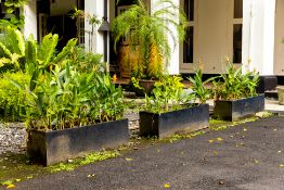 A SET OF THREE RECTANGULAR TROUGHS WITH PLANTS