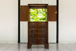 A MAHOGANY DRINKS CABINET