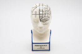A REPRODUCTION PHRENOLOGICAL BUST