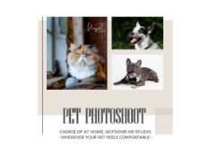 MARZEL PHOTOGRAPHY - A PROFESSIONAL PET PHOTOSHOOT