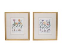 TWO FRAMED BOTANICAL PRINTS