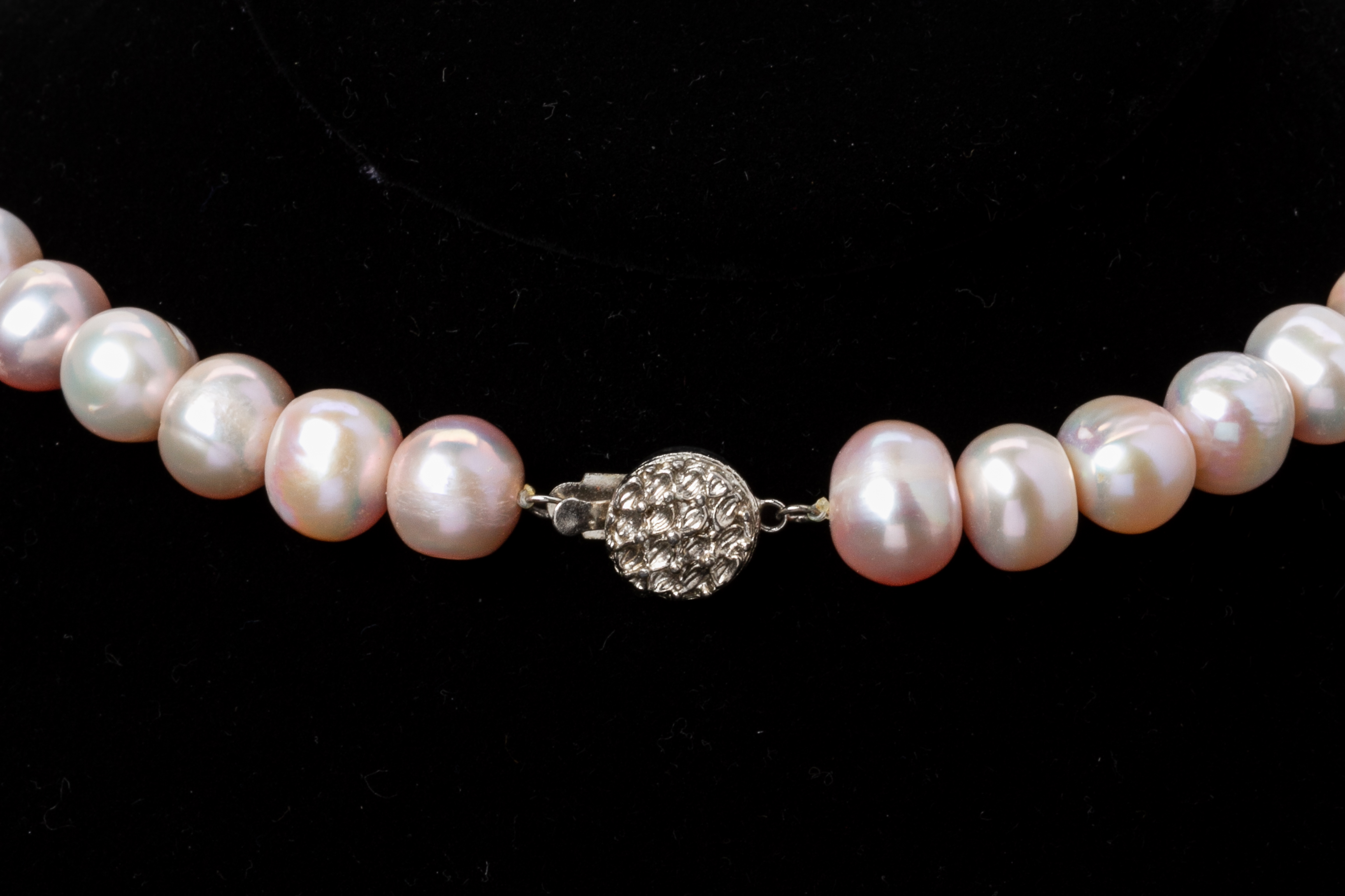 A FRESHWATER CULTURED PEARL NECKLACE - Image 4 of 5