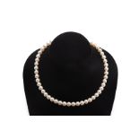 AN AKOYA CULTURED PEARL NECKLACE