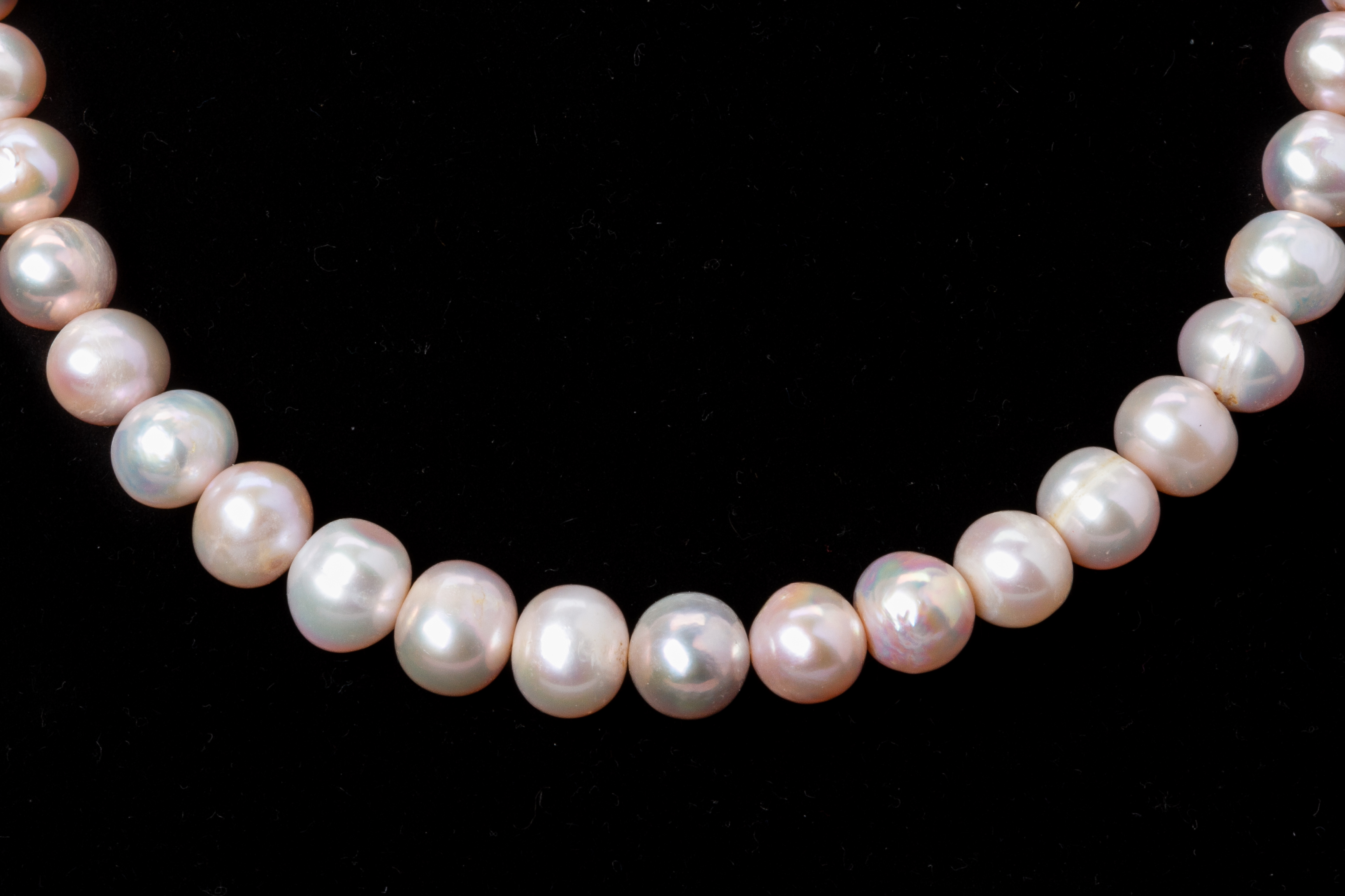 A FRESHWATER CULTURED PEARL NECKLACE - Image 3 of 5