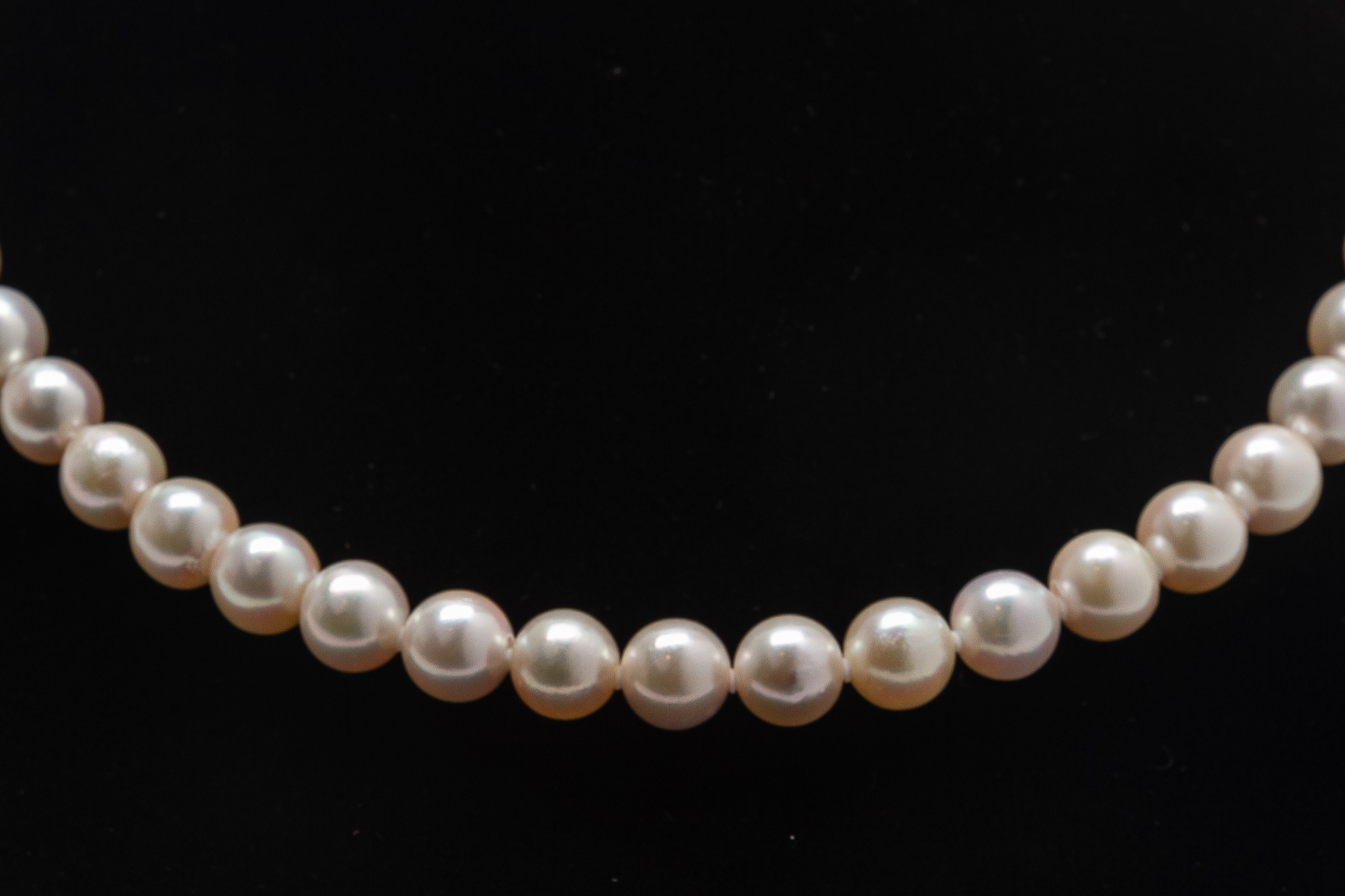 AN AKOYA CULTURED PEARL NECKLACE - Image 2 of 3