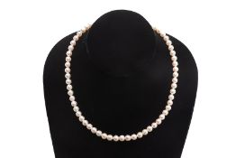 A CREAM AKOYA CULTURED PEARL NECKLACE