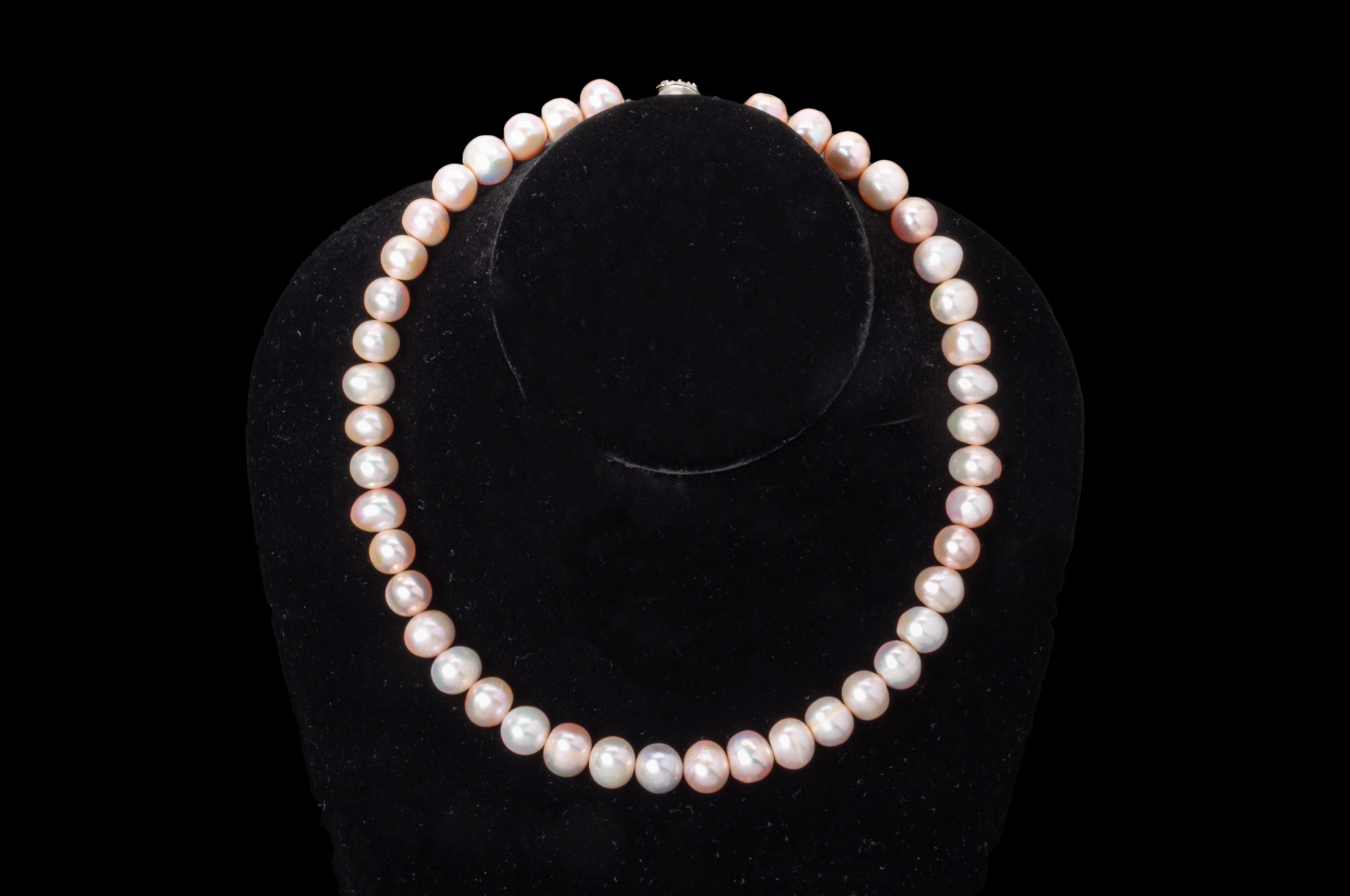 A FRESHWATER CULTURED PEARL NECKLACE - Image 5 of 5