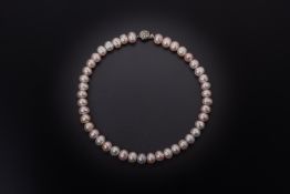 A FRESHWATER CULTURED PEARL NECKLACE