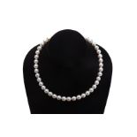 A GREY AKOYA CULTURED PEARL NECKLACE