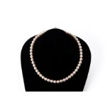 AN AKOYA CULTURED PEARL SINGLE STRAND NECKLACE