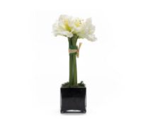 A COUTURE AMARLLIS TOPIARY & BLACK GLASS CUBE