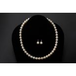 AN AKOYA CULTURED PEARL NECKLACE AND EARRING SET