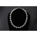 A SOUTH SEA PEARL SINGLE STRAND NECKLACE