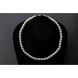 AN AKOYA SINGLE STRAND CULTURED PEARL NECKLACE