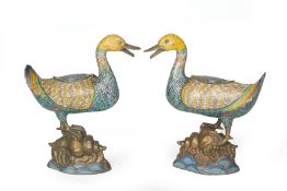 A PAIR OF LARGE CLOISONNE ENAMEL MODELS OF DUCKS