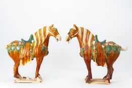 A PAIR OF TANG STYLE SANCAI GLAZED MODELS OF HORSES