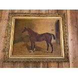 Antique Oil Painting of a Horse by H J Partridge dated 1889 - frame 27 1/2" x 22 1/2".