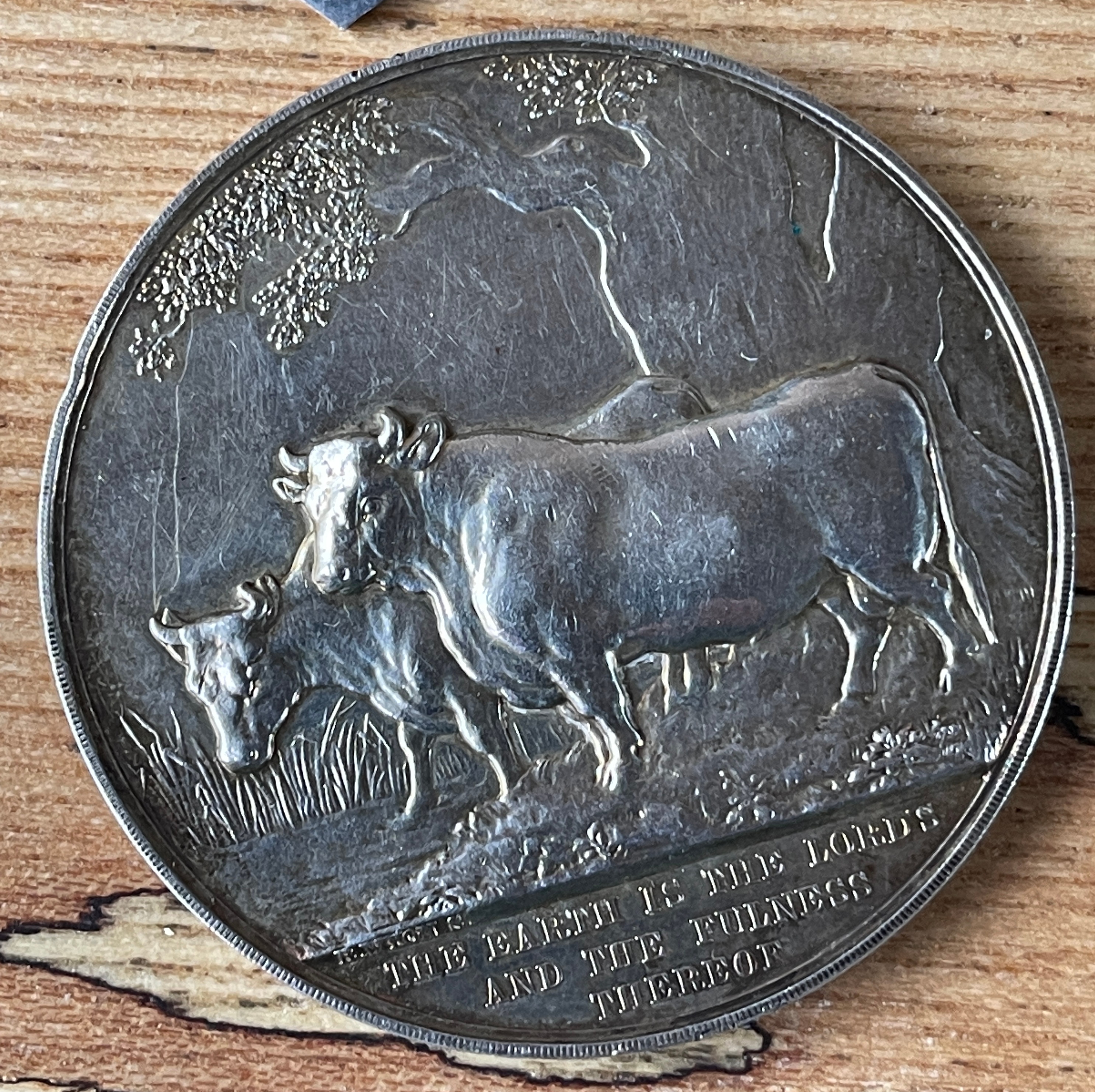 Lot of 4 Antique Agricultural Medals - British Dairymaids Association-Sir Edward Bart Medal etc. - Image 4 of 9