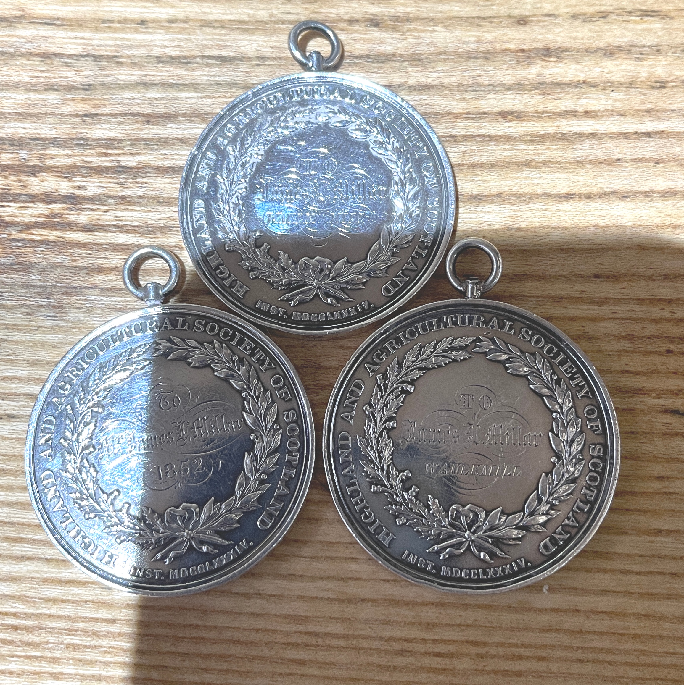 Lot of 3 Victorian Highland and Scottish Agricultural Society Medals - 44mm diameter. - Image 2 of 11