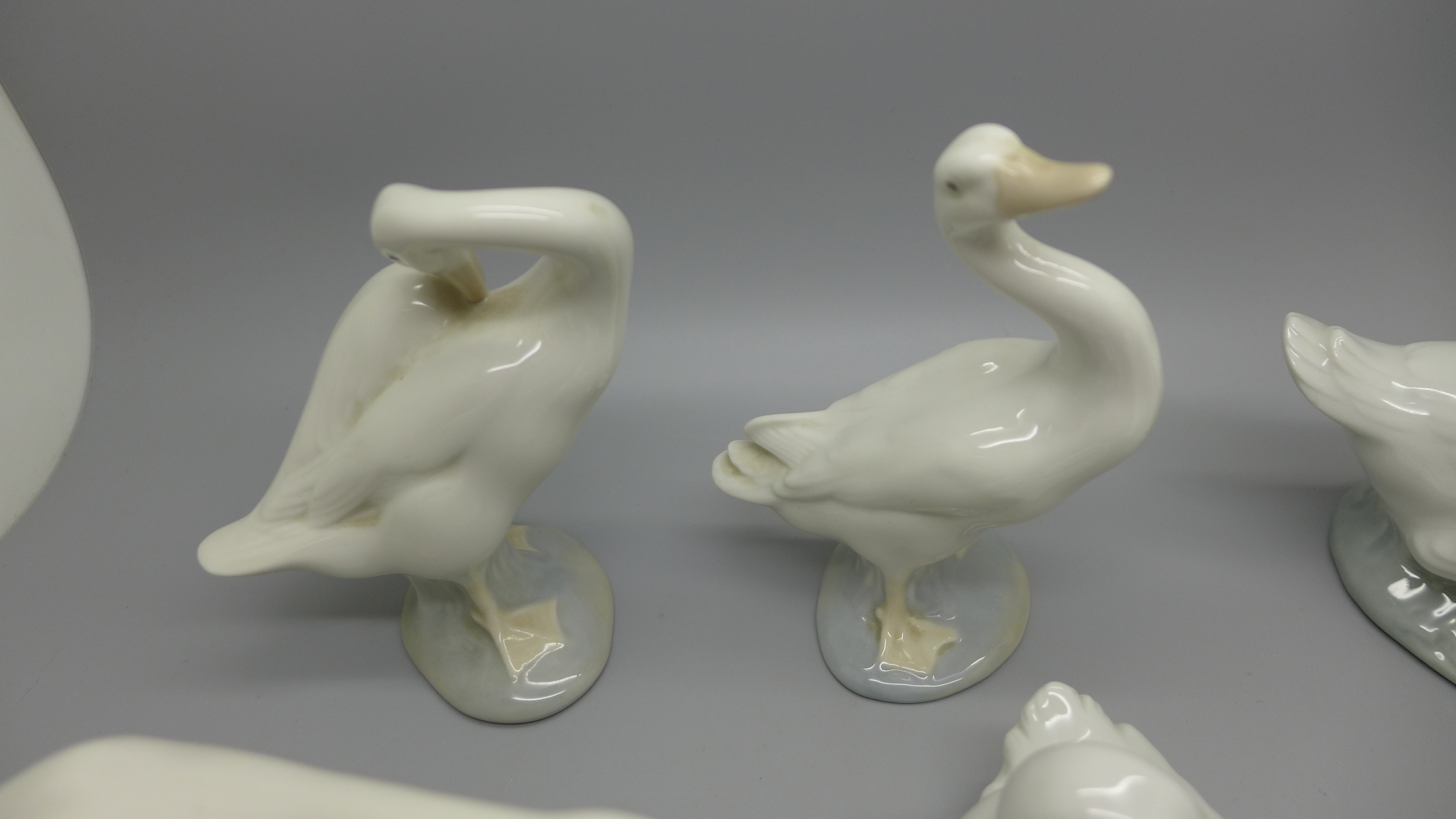 Six figures of Ducks and Geese in various poses, (3 x Lladro, 2 x Nao and 1 x Royal Copenhagen) - Image 2 of 5