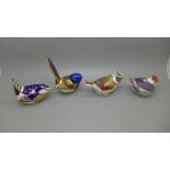 Four Royal Crown Derby Bird Paperweights - Goldcrest, Crested Tit, Blue Tit and Fairy Wren, all with