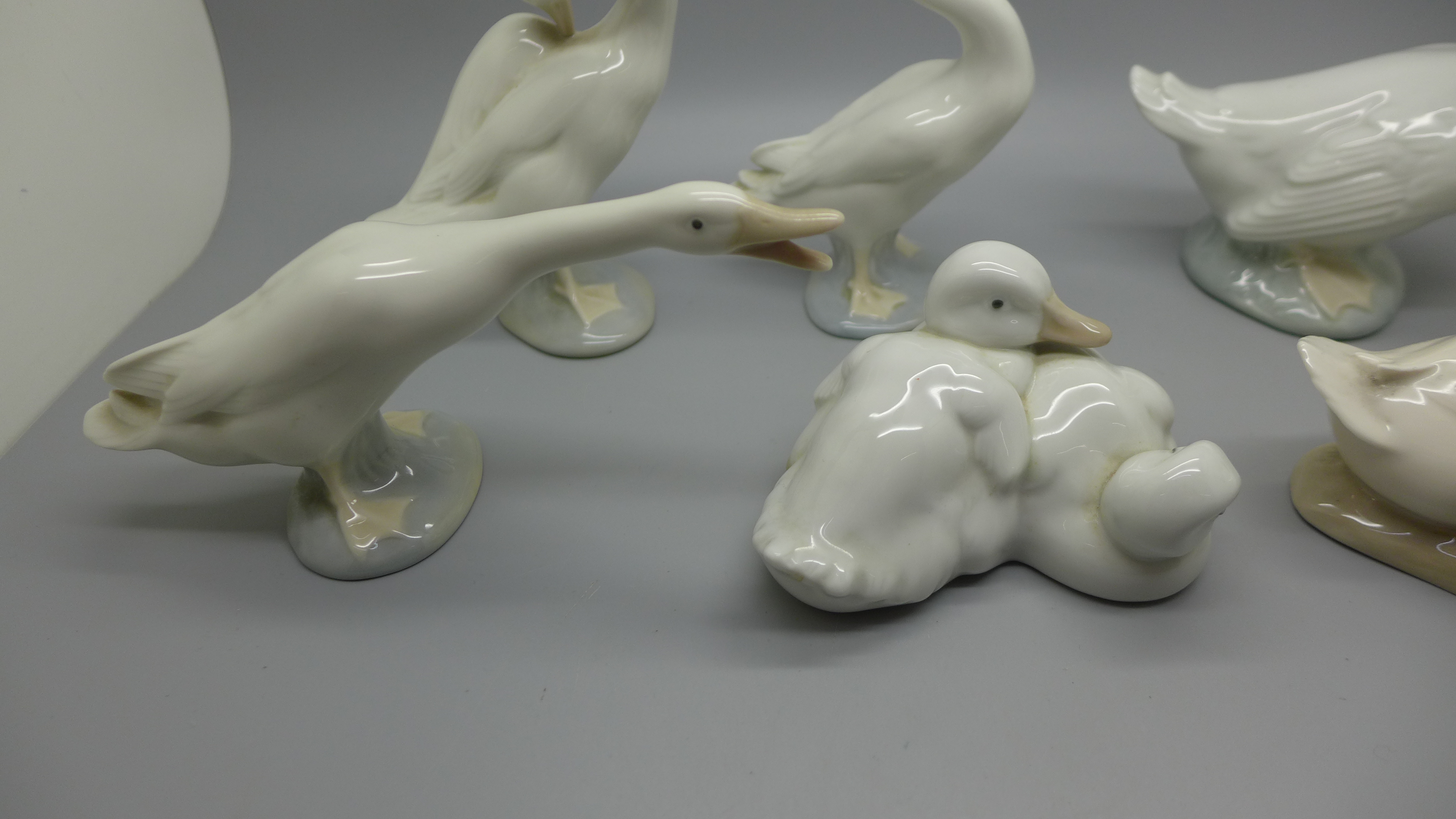 Six figures of Ducks and Geese in various poses, (3 x Lladro, 2 x Nao and 1 x Royal Copenhagen) - Image 3 of 5
