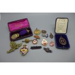 Regimental badges, medallions, other badges, etc.