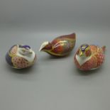 Three Royal Crown Derby Bird paperweights - Pheasant, Coot and Quail, all with gold stoppers and red