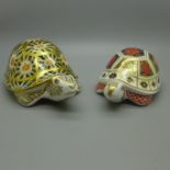 Two Royal Crown Derby paperweights - Indian Star Tortoise, modelled by Peter Allen, decoration