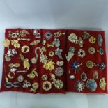 Costume brooches