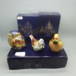 Three Royal Crown Derby Bird paperweights - Little Owl, one of a signature edition of 1000 exclusive