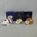 Three Royal Crown Derby Hedgehog paperweights - RCD Collectors Guild Exclusive Orchard Hedgehog,